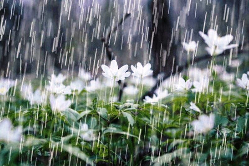 پیش‌بینی تابستان کم بارش برای مازندران